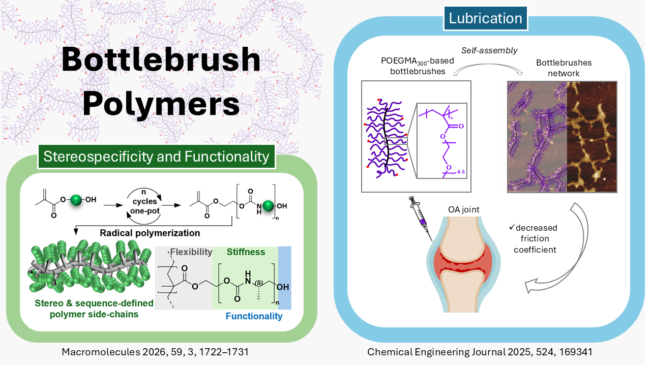 Bottlebrush polymers